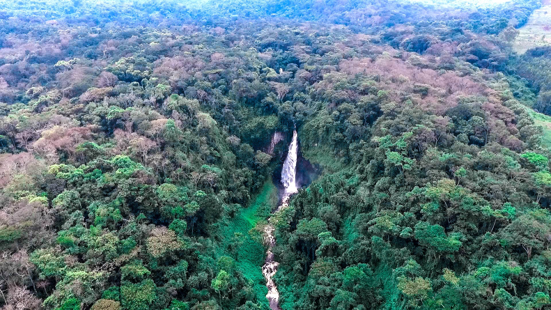 Plongez dans une nature sauvage et intacte.