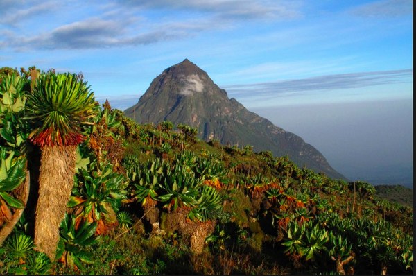 Touchez le ciel du Sud-Kivu.